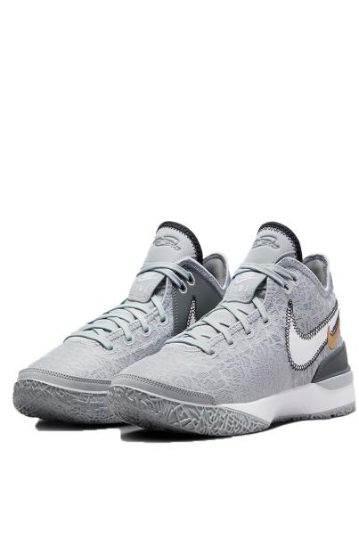 NIKE x LeBron James Nxxt Gen Shoes Gray