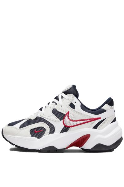 NIKE Runinspo Al8 Shoes Multicolor